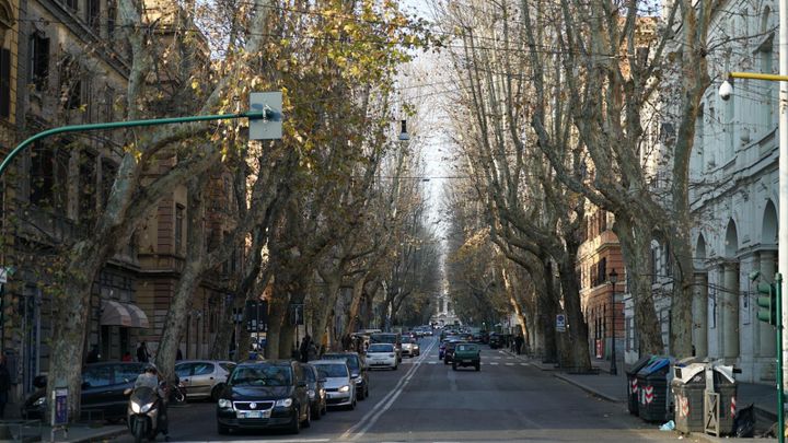 Come nasce questo libro